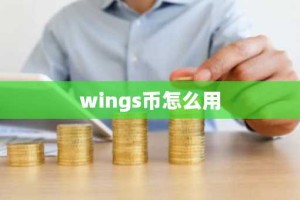 wings币怎么用