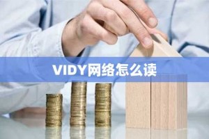 VIDY网络怎么读