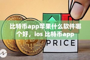 苹果中国比特币下载软件