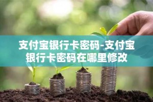 支付宝银行卡密码-支付宝银行卡密码在哪里修改