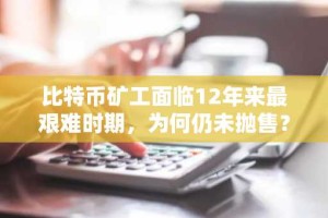 比特币矿工面临12年来最艰难时期，为何仍未抛售？