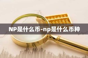 NP是什么币-np是什么币种