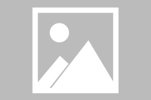 ok币为什么要有交易所？日本合法okb币交易平台app