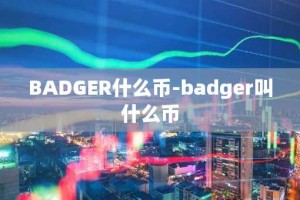 BADGER什么币-badger叫什么币