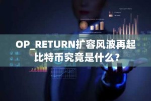 OP_RETURN扩容风波再起 比特币究竟是什么？