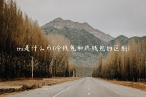 tr是什么币 - 冷钱包和热钱包的区别