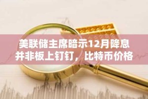 美联储主席暗示12月降息并非板上钉钉，比特币价格跌至11万美元