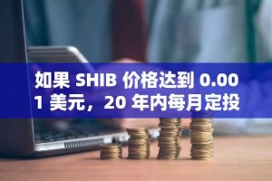 如果 SHIB 价格达到 0.001 美元，20 年内每月定投 100 美元的潜在收益分析