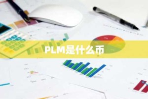 PLM是什么币