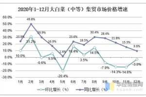 蚂蚁精工电源价格解析，型号对比及市场行情分析