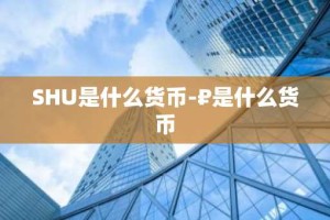 SHU是什么货币-₽是什么货币