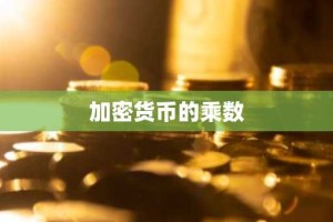 加密货币的乘数