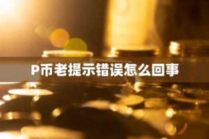 P币老提示错误怎么回事