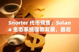 Snorter 代币预售：Solana 生态系统蓬勃发展，最后 7 小时的高风险机会