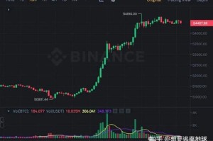 Btc王冲比特币价格飙升背后的技术解析与市场前景