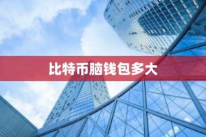比特币脑钱包多大