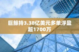 巨鲸持3.38亿美元多单浮盈超1700万