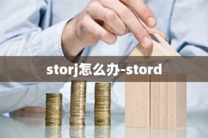 storj怎么办-stord