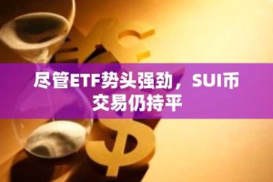 尽管ETF势头强劲，SUI币交易仍持平