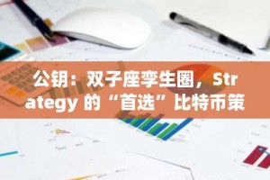 公钥：双子座孪生圈，Strategy 的“首选”比特币策略