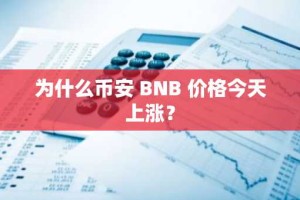为什么币安 BNB 价格今天上涨？