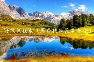 好钱包技术（黑币钱包挖矿命令）