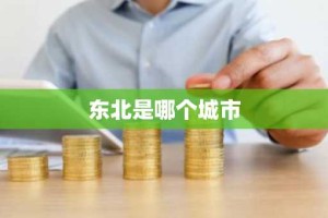 东北是哪个城市