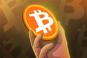 购买比特币的网站，在线交易平台选择指南