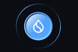 SUI是什么币种 如何评价 Sui公链技术特点及2025年3月价格预测分析