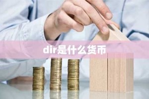 dir是什么货币