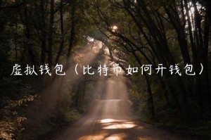 虚拟钱包（比特币如何开钱包）