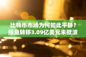 比特币市场为何如此平静？鲸鱼转移3.09亿美元未掀波澜