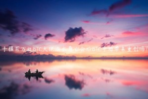 手握百万枚BTC大佬溺水身亡会给BTC市场带来重创吗！