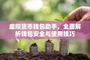 虚拟货币钱包助手，全面解析钱包安全与使用技巧