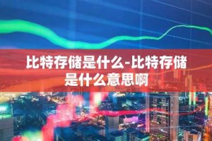 比特存储是什么-比特存储是什么意思啊