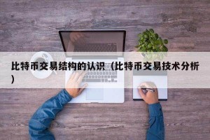 比特币交易结构的认识（比特币交易技术分析）