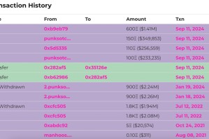 稀有 Punk 10E 到手？「捡漏」的背后是一个已停止运营的 NFT 碎片化协议