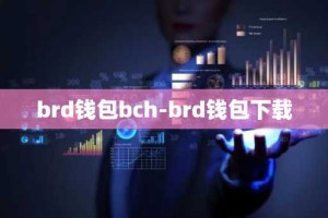 brd钱包bch-brd钱包下载