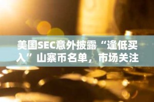 美国SEC意外披露“逢低买入”山寨币名单，市场关注点聚焦