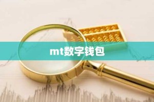 mt数字钱包