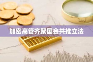 加密高管齐聚国会共推立法
