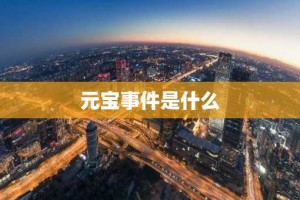 元宝事件是什么