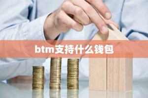 btm支持什么钱包