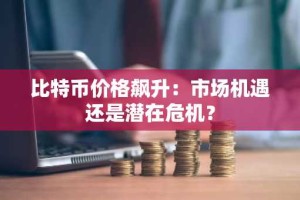 比特币价格飙升：市场机遇还是潜在危机？