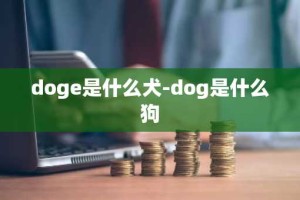 doge是什么犬-dog是什么狗