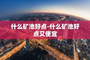 什么矿池好点-什么矿池好点又便宜