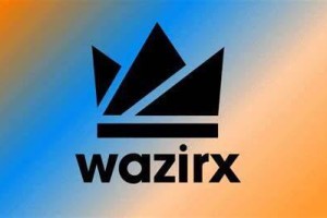 什么是WazirX _ WRX币