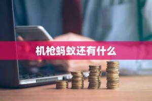 机枪蚂蚁还有什么