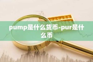 pump是什么货币-pur是什么币