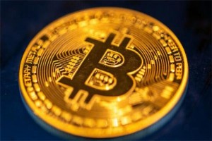 shibainu币价格，shibainu币市场动态分析